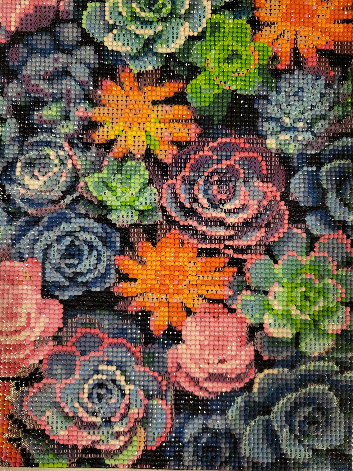 Succulents