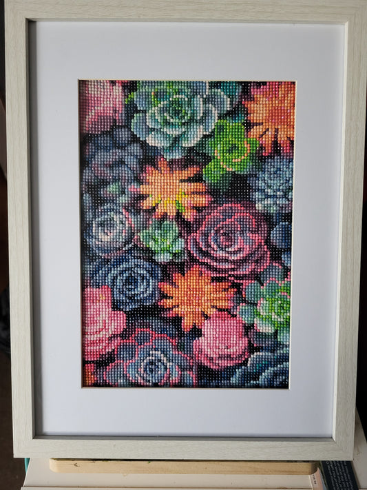 Succulents