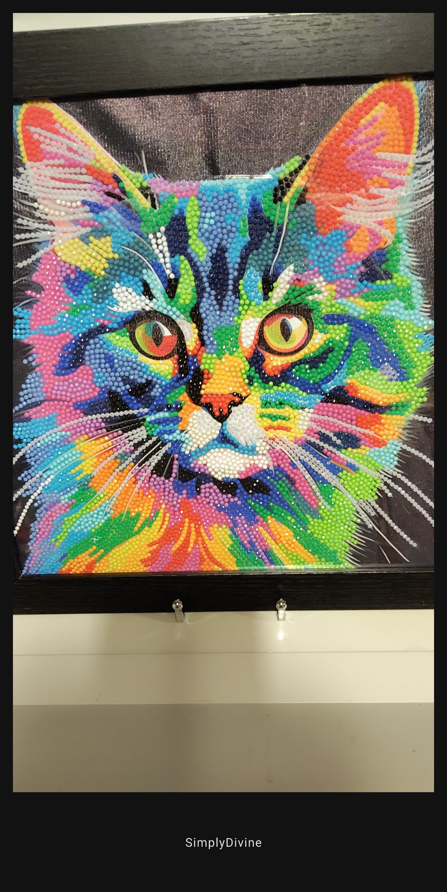 "Technicolour Tom" Framed Canvas Diamond Art