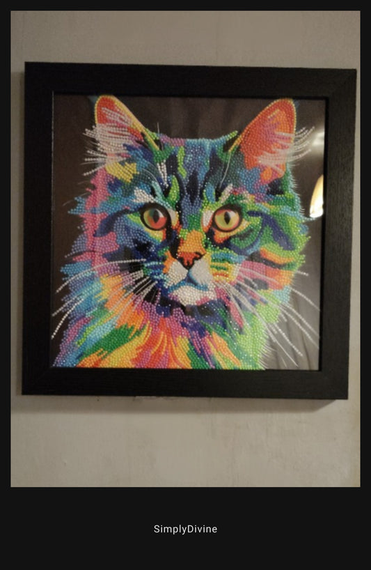 "Technicolour Tom" Framed Canvas Diamond Art