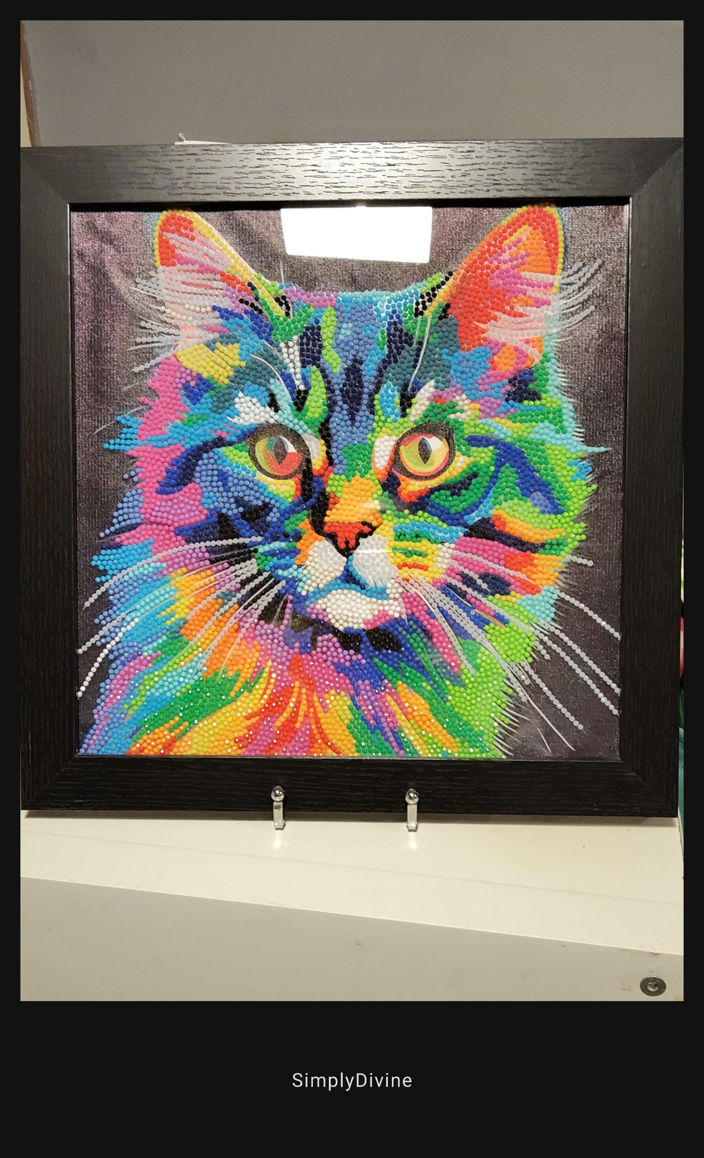 "Technicolour Tom" Framed Canvas Diamond Art