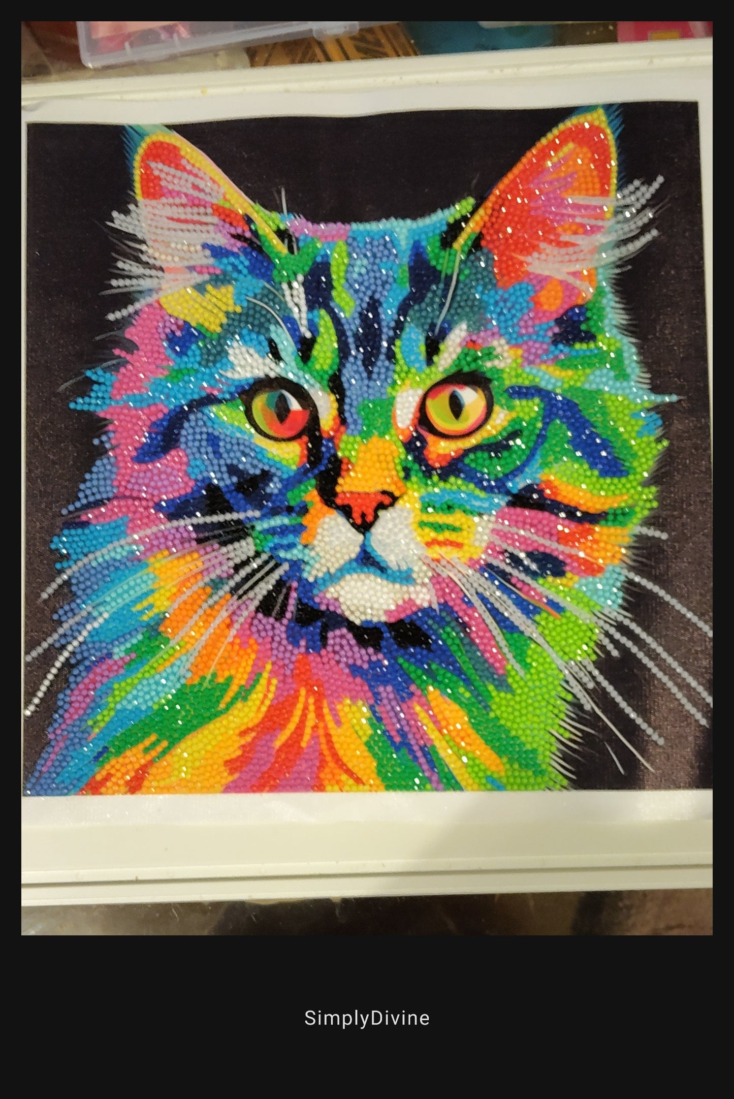 "Technicolour Tom" Framed Canvas Diamond Art